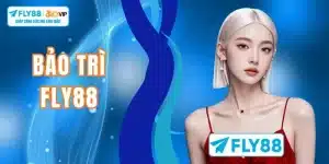 bao-tri-fly88