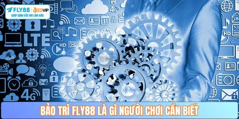 bao-tri-fly88-la-gi