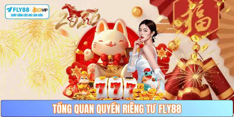 tong-quan-chinh-sach-rieng-tu-fly88