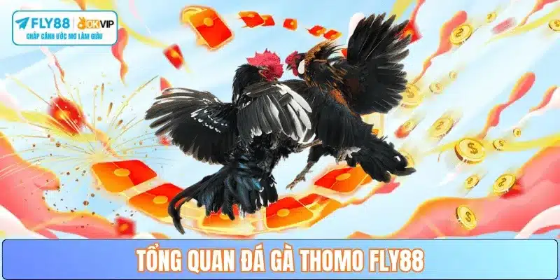 tong-quan-sanh-da-ga-thomo-fly88