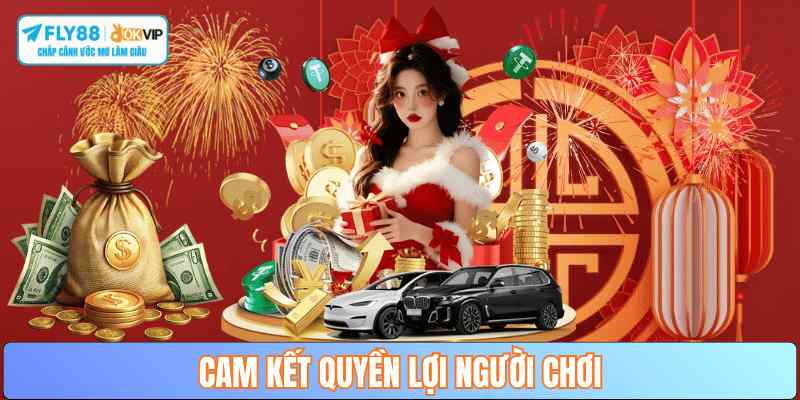 trach-nhiem-va-quyen-loi-nguoi-choi-fly88